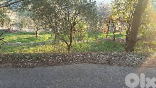 Land for Sale – Zaroun