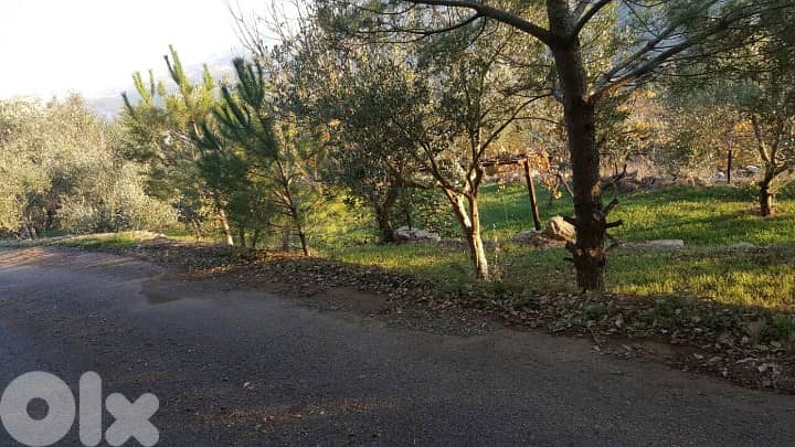 Land for Sale – Zaroun 1