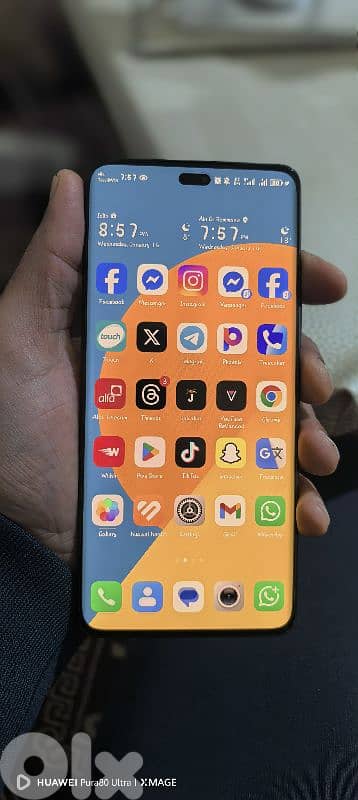 الدكوانة تلا الزعتر 2