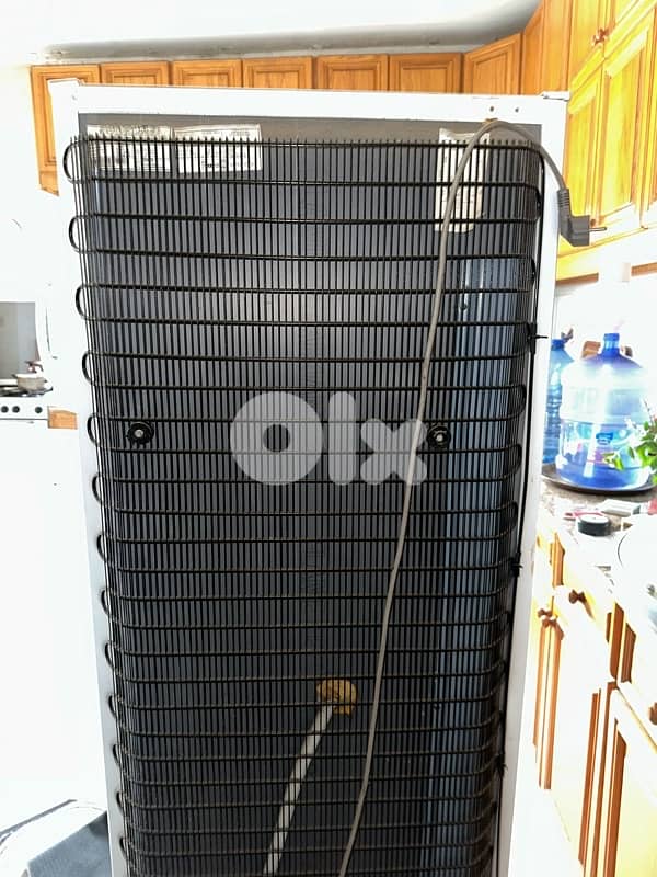 Concord TN 1600 420Liter 6