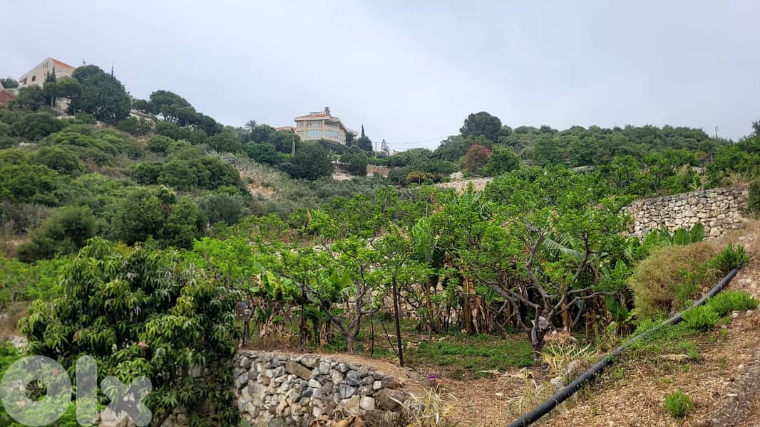 L20096 - Spacious Land in A Prime Location For Sale in Berbara 1