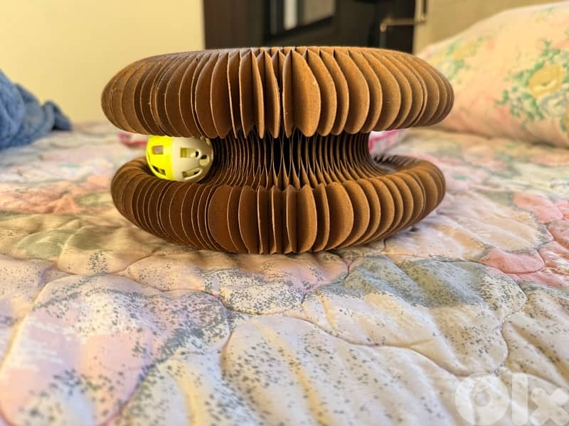 Adorable Bengal (Simba) - (included food, toys, crate…) 8