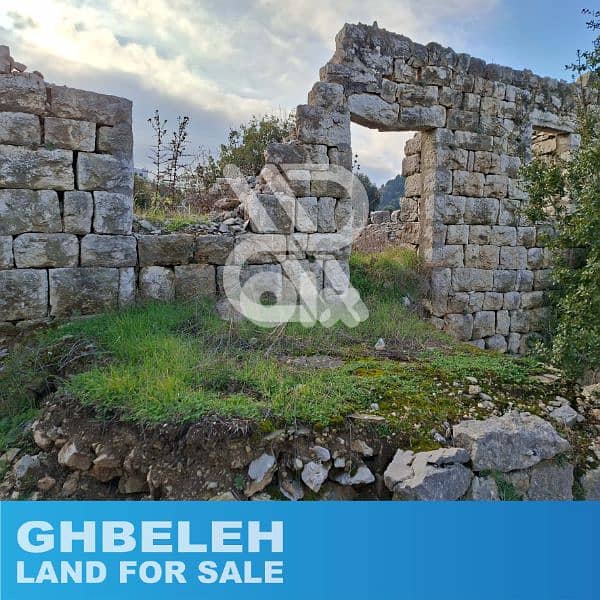 land for sale in ghbeleh  - أرض للبيع في غباله 1