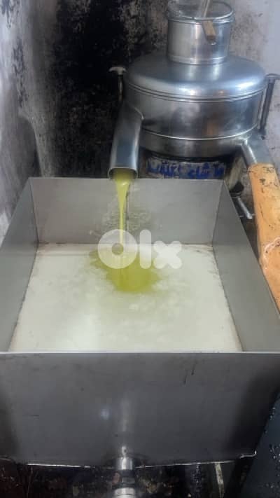olive oil