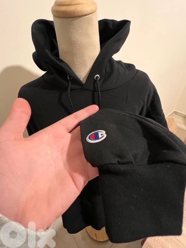 Champion Hoodies 2