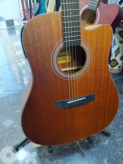 guitar electro accoustic