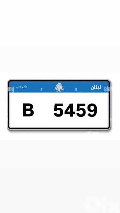 4 digits car plate number