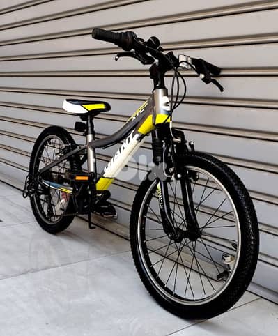 giant bicycle 20 like New