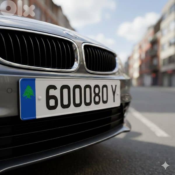 لوحات مميزة 1