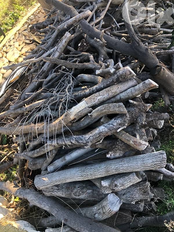DRIED OAK FIRE WOOD FOR SALE 1