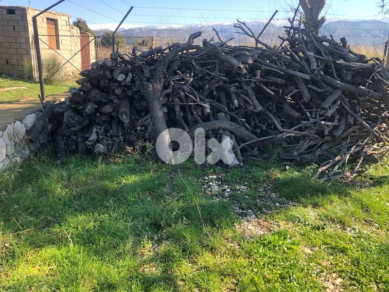 DRIED OAK FIRE WOOD FOR SALE 2