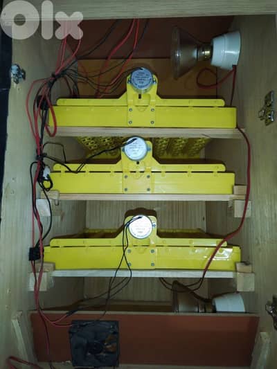 incubators فقاسة اوتوماتيك