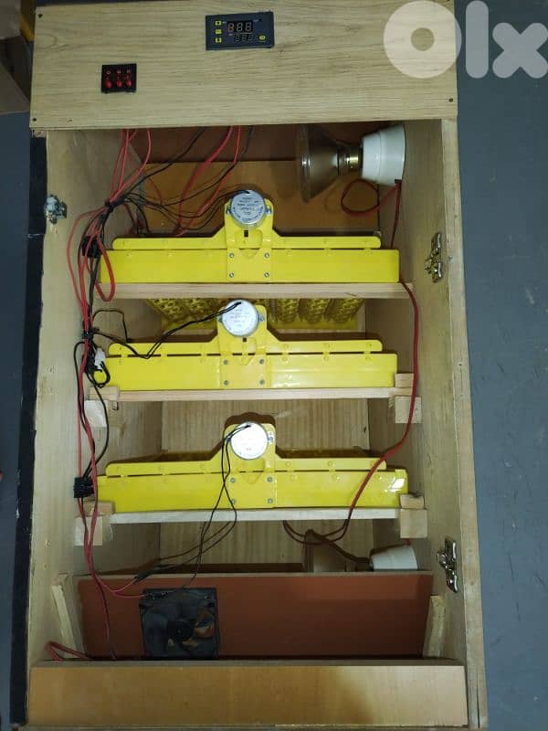 incubators فقاسة اوتوماتيك 1