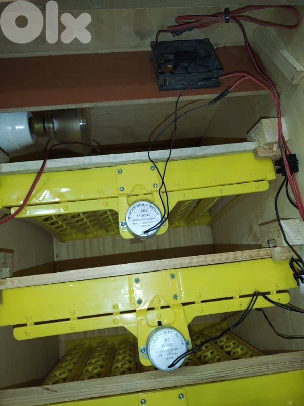 incubators فقاسة اوتوماتيك 2