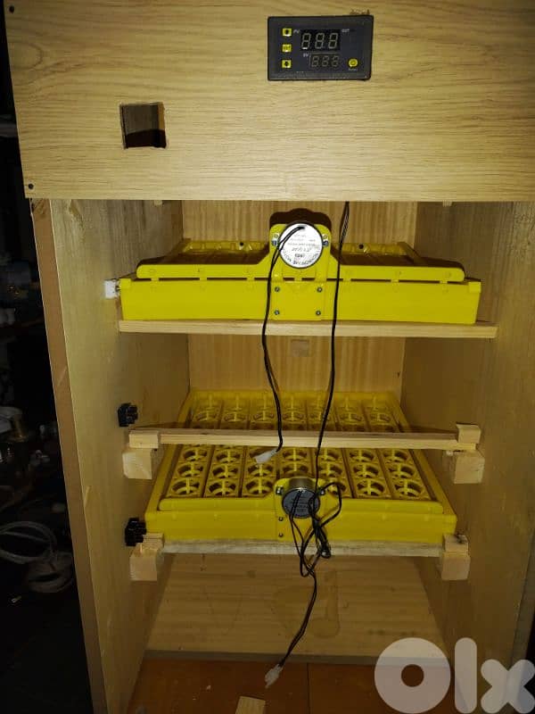 incubators فقاسة اوتوماتيك 8