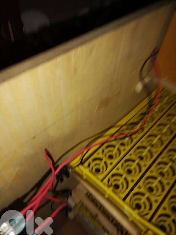 incubators فقاسة اوتوماتيك 11