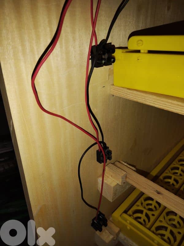 incubators فقاسة اوتوماتيك 12