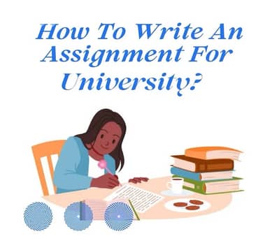 Assignment Help & Tutoring – All Subjects