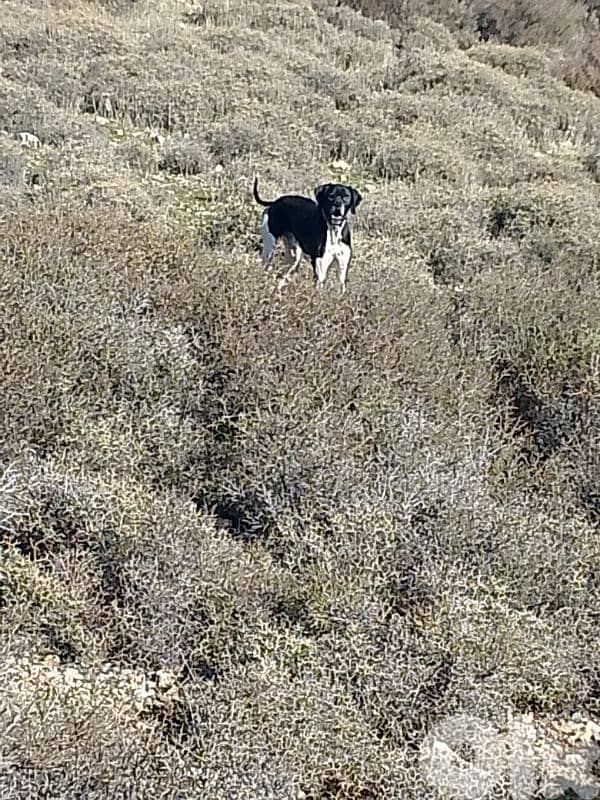 غانا البقاع الفربي 2