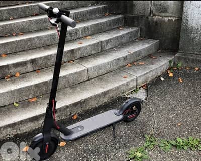 Scooter for sale