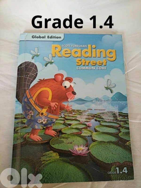 Reading Street (Grade 1 to 3, 8 books) 4