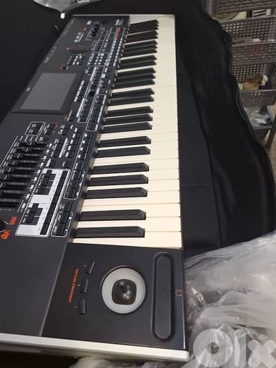 الدورة المتن