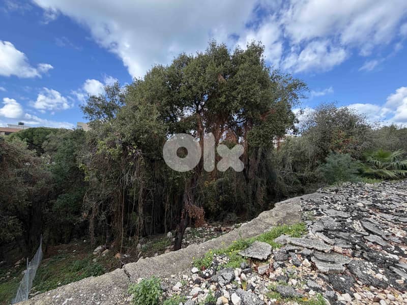 Land In Amchit For Sale | Good Opportunity | أرض للبيع | PLS 26444/1 1