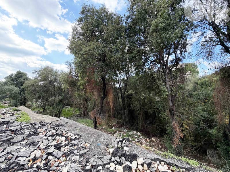 Land In Amchit For Sale | Good Opportunity | أرض للبيع | PLS 26444/1 2