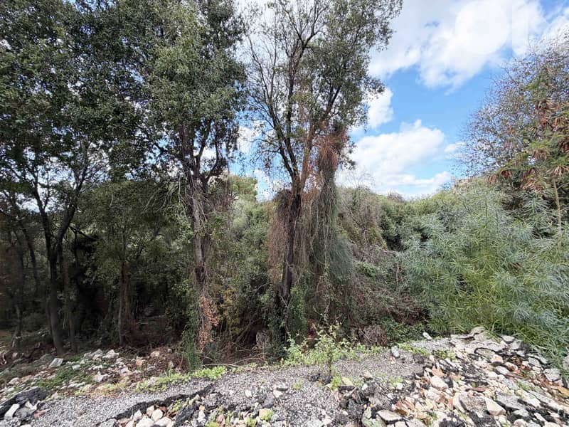 Land In Amchit For Sale | Good Opportunity | أرض للبيع | PLS 26444/1 3