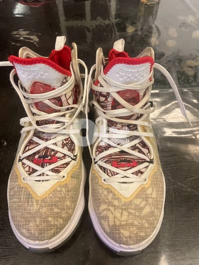 used lebron james shoes