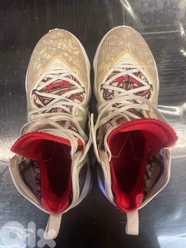 used lebron james shoes 2