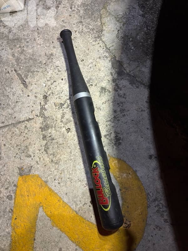 bat lock steering wheel 1