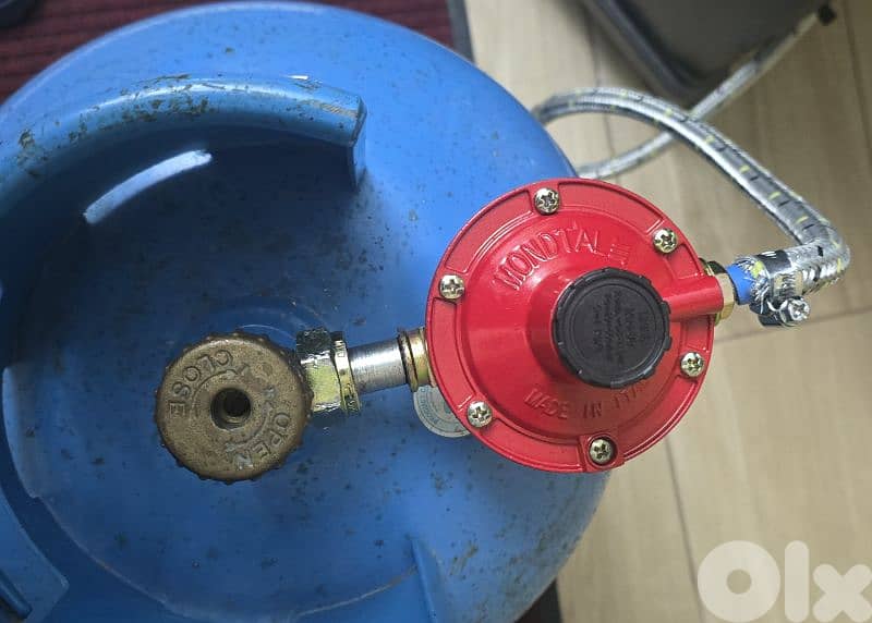 LIVE FIRE Gas Stove wih Fan FH-708 2