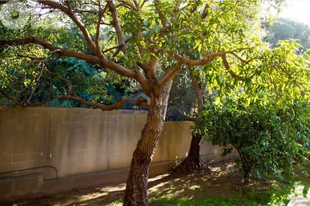 Villa for Sale in Rabieh | فيلا للبيع في الرابية