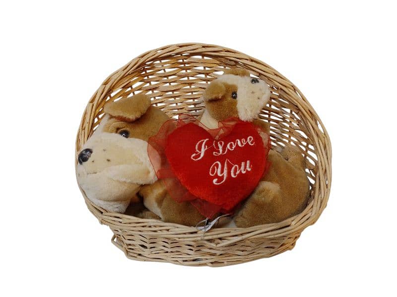 valentine's dog plush 1