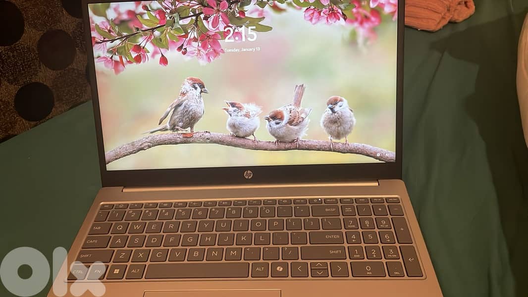 New but out of the box 2