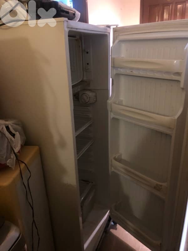 براد  نضيف 1