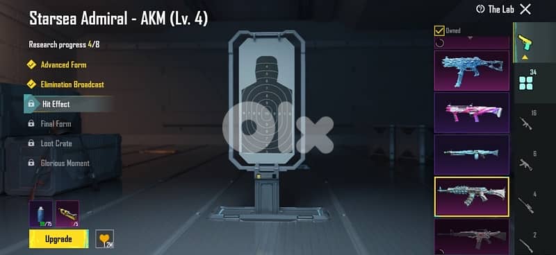 PUBG ACCOUNT FOR SALE 12