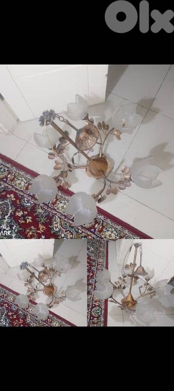 صيدا بيساريه