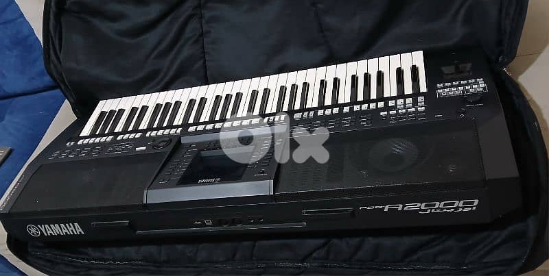 Yamaha 2000 oriental 1