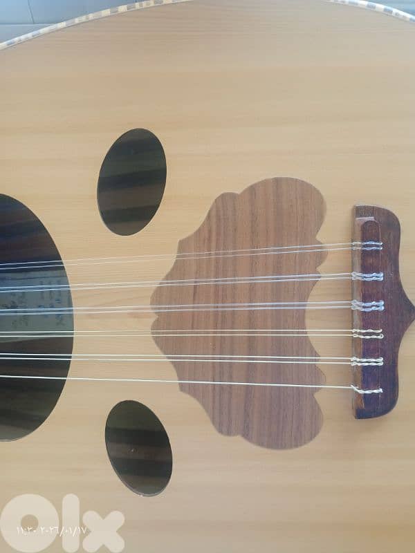 عود زرياب0 موديل عراقي جديد بأفضل وأهم الأسعار المخفضة والمناسبة 11