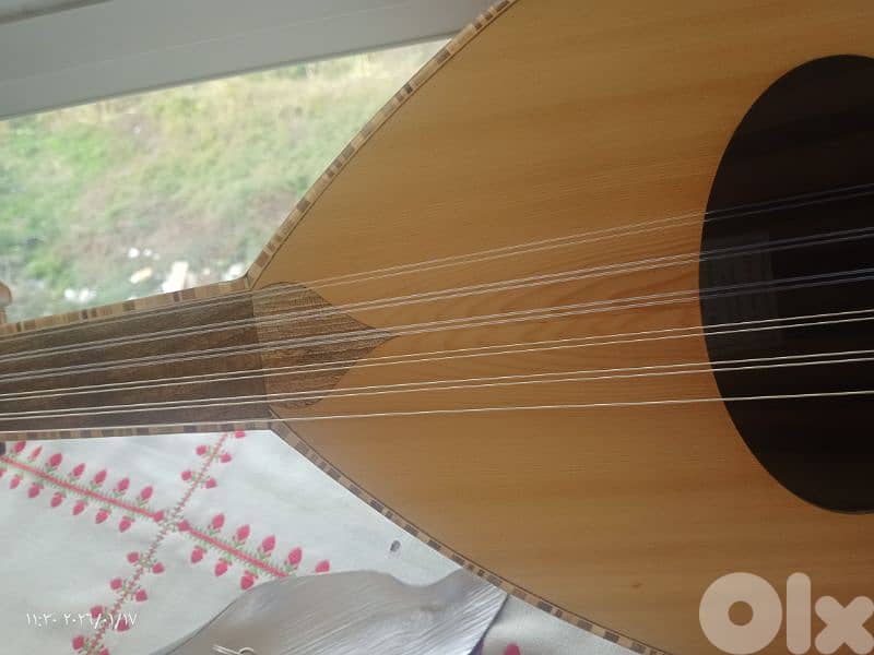 عود زرياب0 موديل عراقي جديد بأفضل وأهم الأسعار المخفضة والمناسبة 13