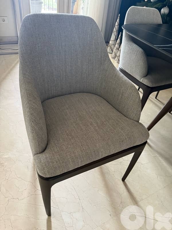 dining table and 10 chairs 1