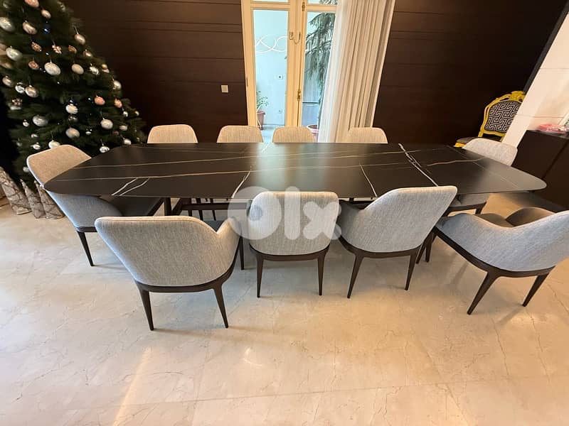 dining table and 10 chairs 3