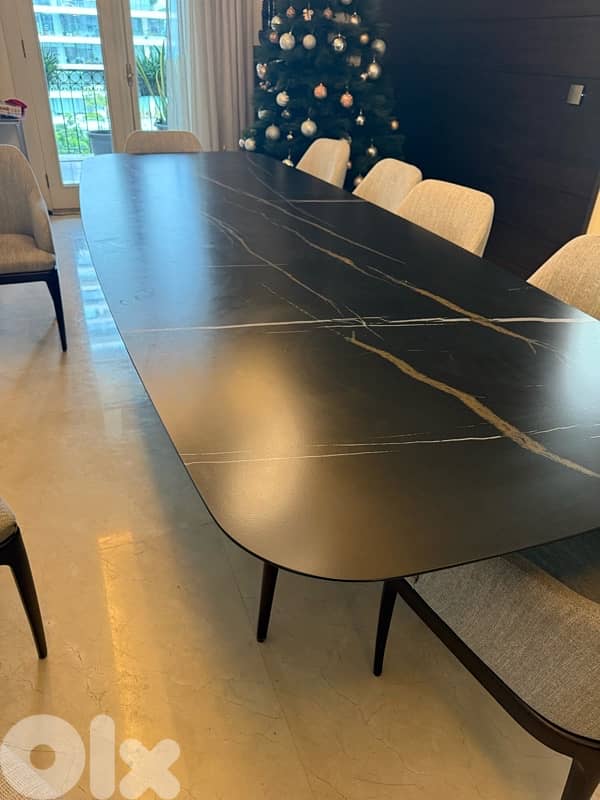 dining table and 10 chairs 4