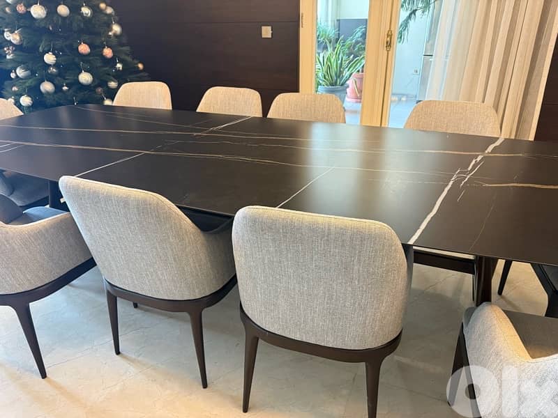 dining table and 10 chairs 5