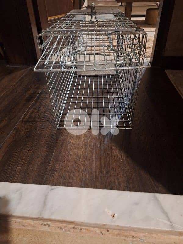 cat trapping cage 3