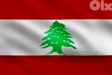 نقل و توصيل الاغراض و تاكسي على كافة الأراضي اللبنانية