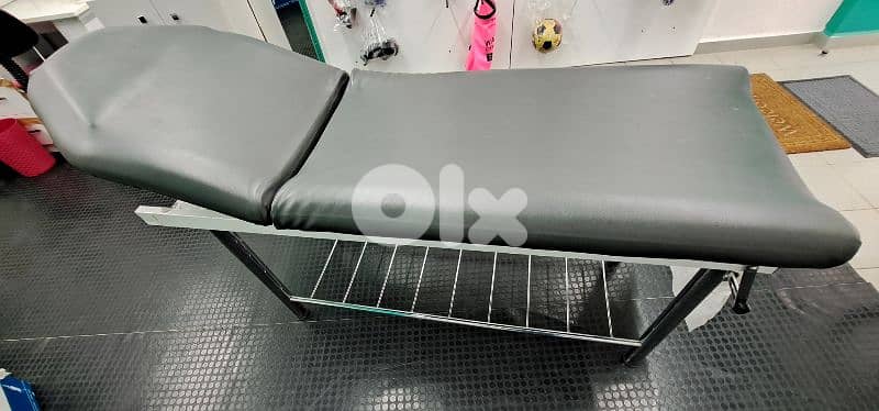 chariot multiple use 1