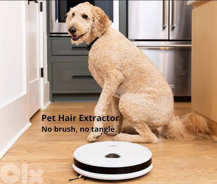 Trifo Home Surveillance Vacuum Robot +Mopping, pet edition/4$ delivery 6